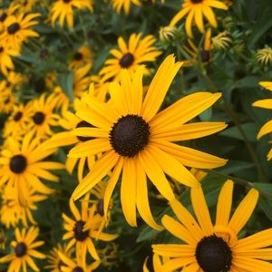 Meet your Posher, Ellie